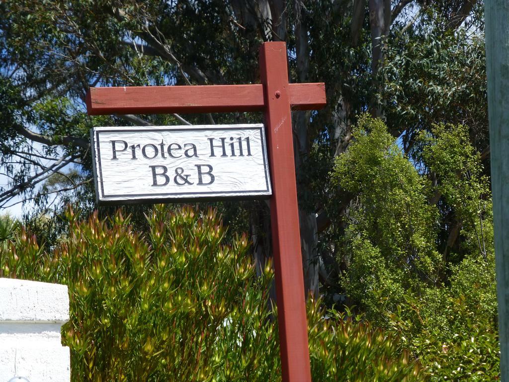 Protea Hill Bed and Breakfast Launceston Esterno foto